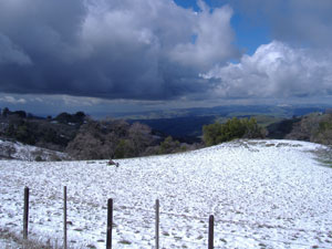 Snow in CA